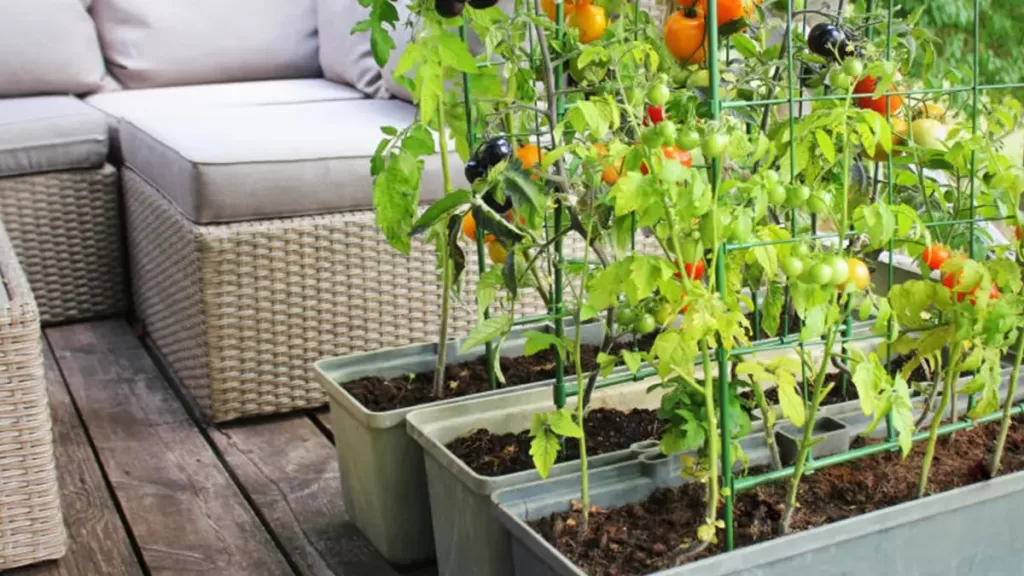 Compact-gardening-solutions-1024x576