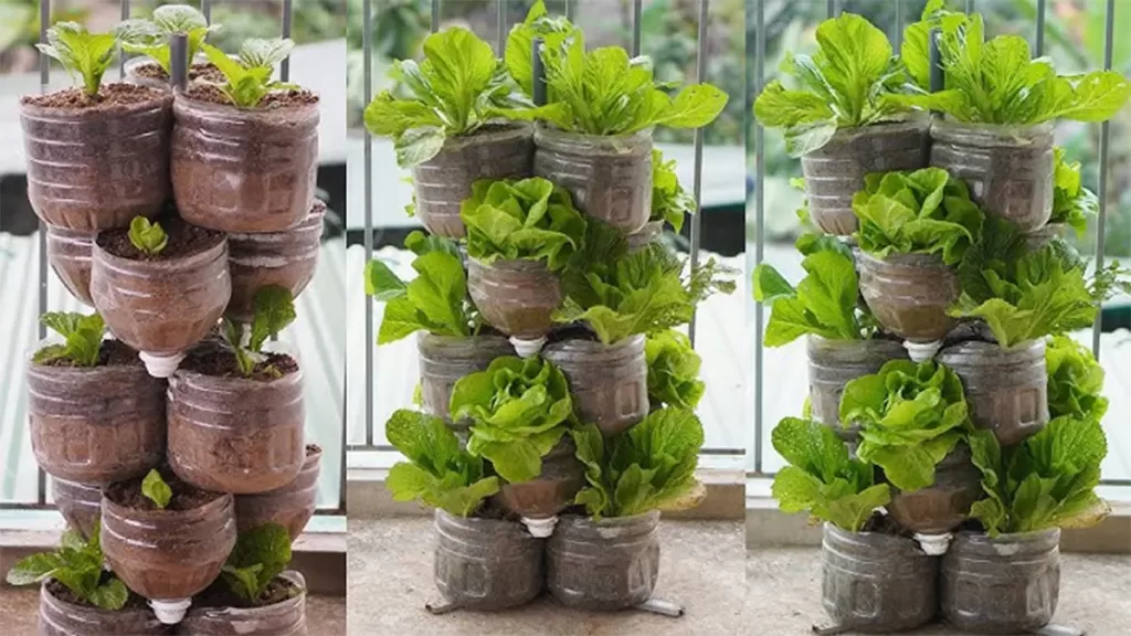 Irrigation-and-watering-tips-1024x576