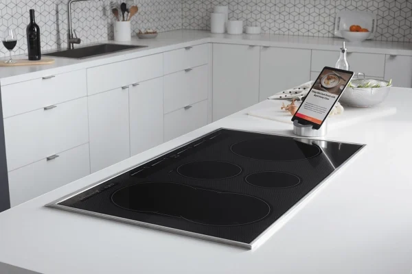 induction-stove-qe13ttnvryvjl540g8er47ofyrvj7fhjc1vuyfeqow